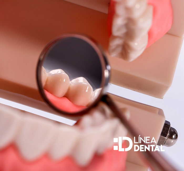 Contacto dentista odontólogo Línea Dental en Ciudad Real y Miguelturra. Cerca de mi